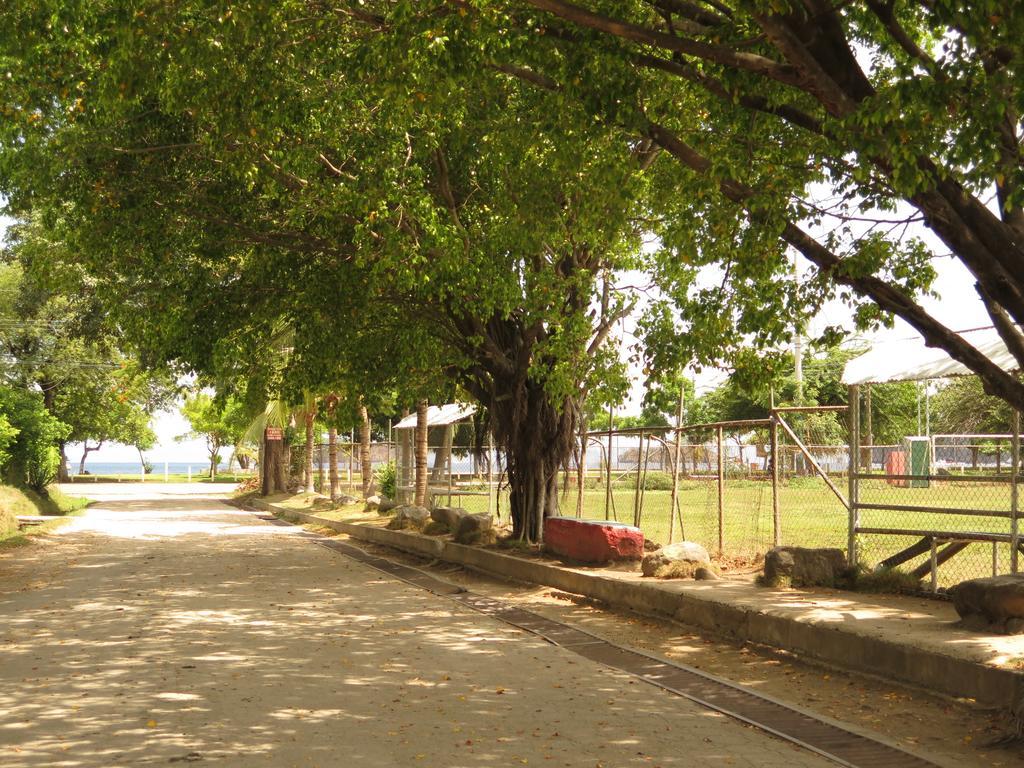 Hotel Coco Palms Playas del Coco Экстерьер фото