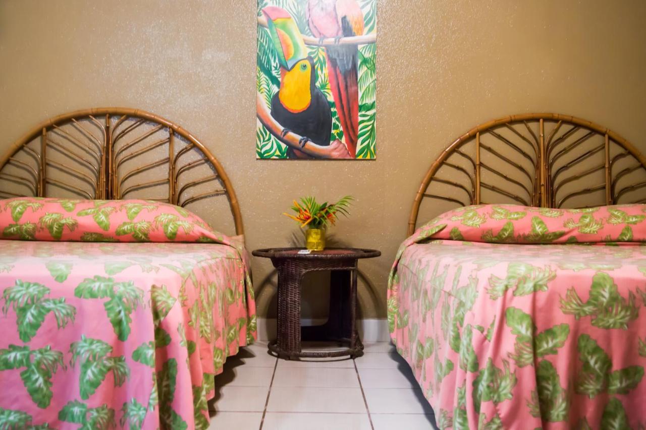 Hotel Coco Palms Playas del Coco Экстерьер фото